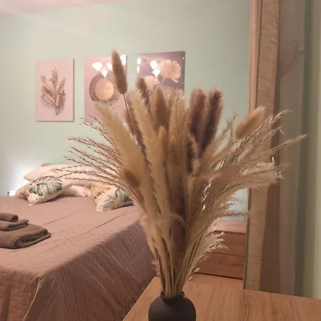 Casa Sofia * לה ספציה