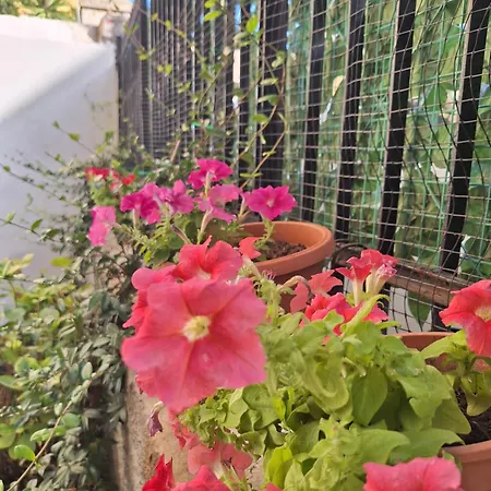 Casa Sofia Apartment